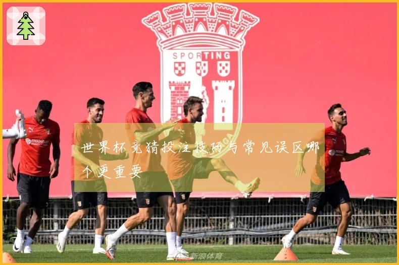 世界杯竞猜投注技巧与常见误区哪个更重要