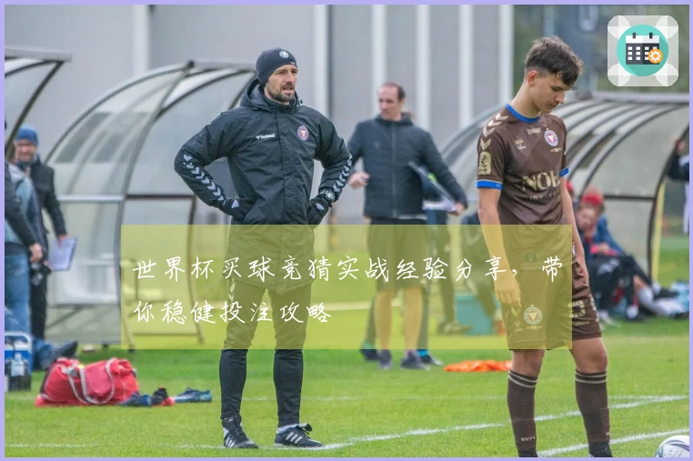 世界杯买球竞猜实战经验分享，带你稳健投注攻略