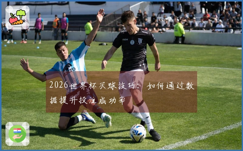 2026世界杯买球技巧：如何通过数据提升投注成功率