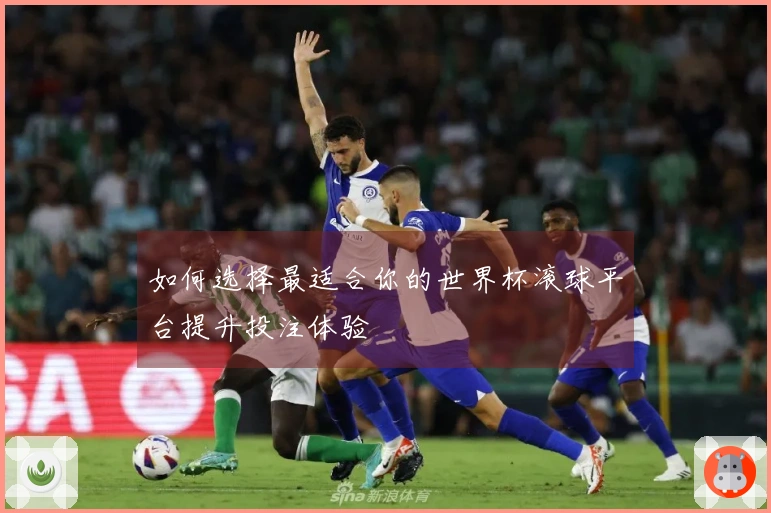 如何选择最适合你的世界杯滚球平台提升投注体验