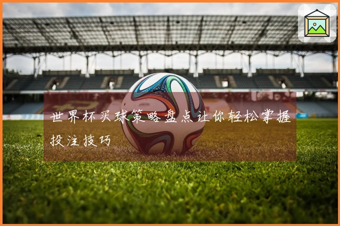 世界杯买球策略盘点让你轻松掌握投注技巧
