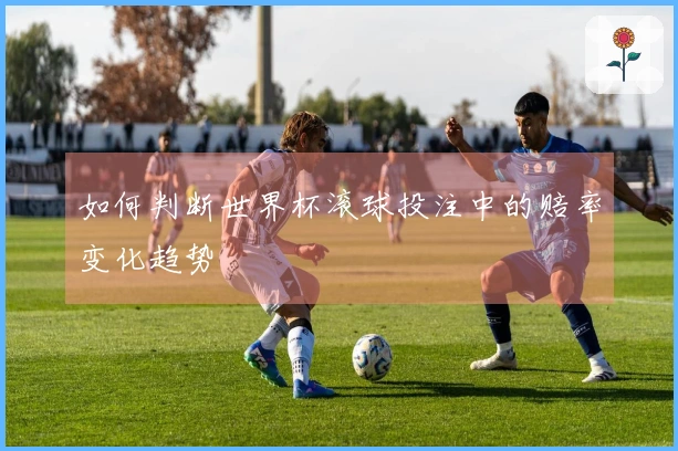 如何判断世界杯滚球投注中的赔率变化趋势